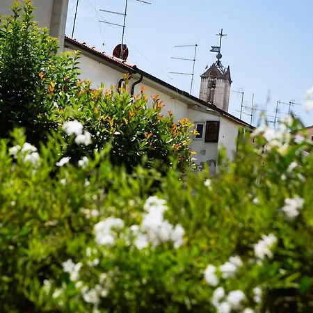Domus Socolatae Apartments&Suites *