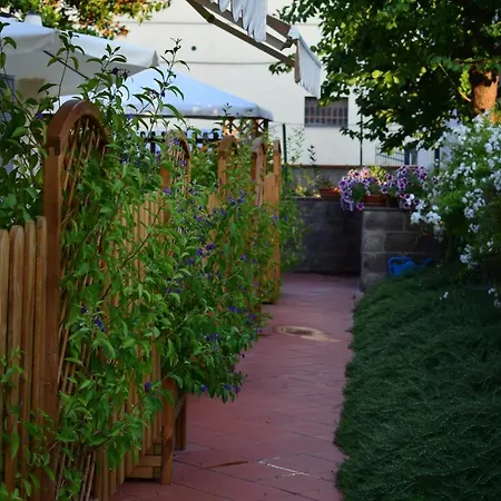 Domus Socolatae Apartments&Suites Guest house Follonica