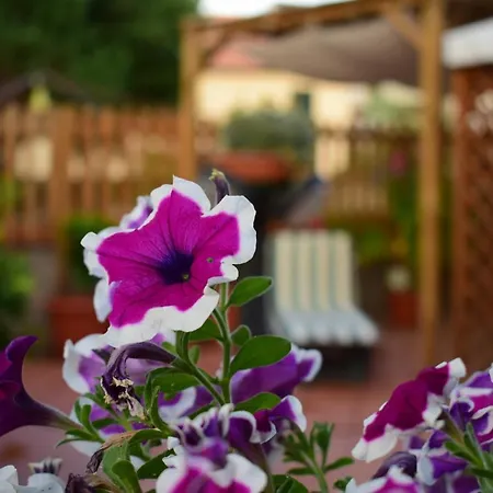 Domus Socolatae Apartments&Suites Follonica