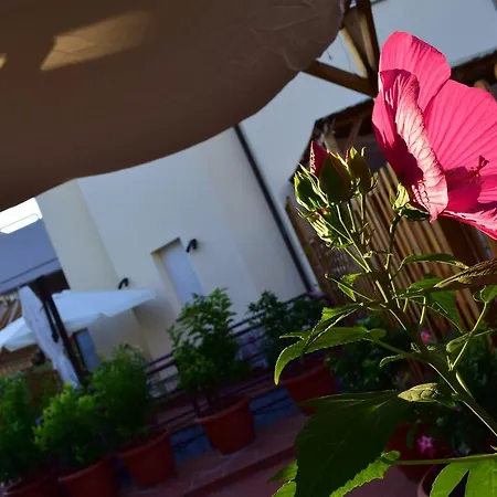 Domus Socolatae Apartments&suites Πανσιόν Follonica