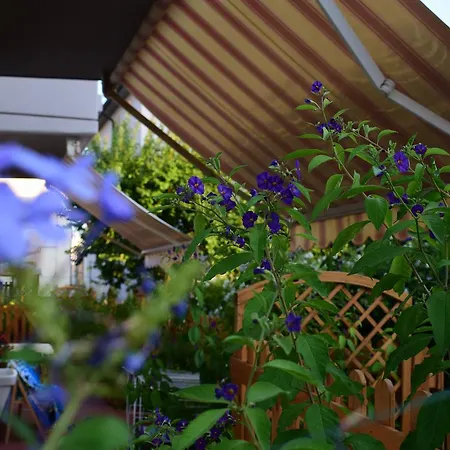 Guest house Domus Socolatae Apartments&Suites Follonica
